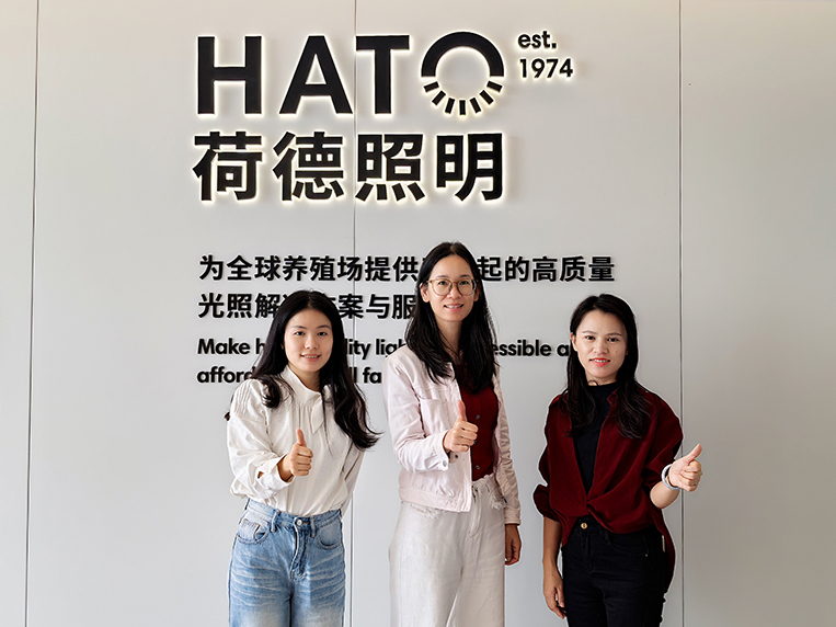 广州装修设计公司